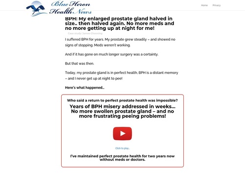 The Prostate Protocol – BPH – Blue Heron Health Files